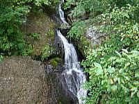 stein