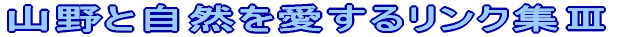 RƎR郊NWV